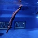 씨집시 이미지