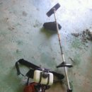 샛터농장 이미지