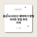 동강시스타 브런치
