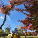 물빛광장화장실 앞 이미지