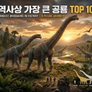알라모사우루스 | 역사상 가장 큰 공룡 TOP 10, 지구를 지배한 거대 생명체 순위
