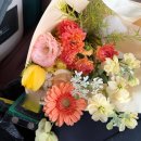 접도로 | 드레스투어 후기 이브스더데이 모네뜨아르