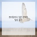 포유피티스튜디오 일광점 이미지