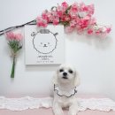 멍앤리치 이미지