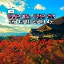 상행농장 | 가을 되자마자 &#39;사람 터져서&#39; 난리난 여행지 TOP 4