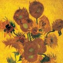 이바로치과교정과치과의원 이미지