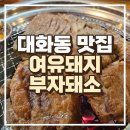 여유돼지부자돼소