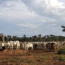 부분밖의 부분 이미지