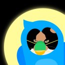 클린업(UP) 이미지