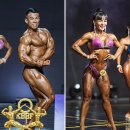 한국육체미체육관 이미지