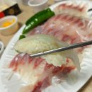 고양 덕양구 행신 회 맛집! 회는 무조건 [명수산]
