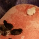 청계1로 이미지