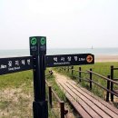 더라온 이미지