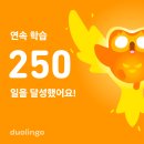 중문안경방 | 일기 : 바쁘다 바빠 1,2월