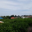 대흘2리경로당 이미지