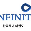 한국체대 INFINITI태권도 이미지