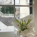 대우재 | 인천꽃배달 아우어윈터 플라워 스튜디오 주차문의