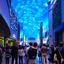 베이호텔 | 인스파이어 리조트 호텔 주차 스플래쉬베이 수영장 후기 꿀팁