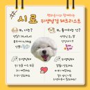 펫라운지카페