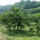 복만농장 이미지