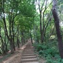 명품 강남둘레길 3코스 [정상 숲길(여름)] 탐방 후기(2026. 06. 14.)