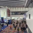 킴스케빈 | [일상] 환율 박살 미국에서 살아남기