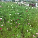 새빛공원 이미지