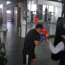 와룡복싱 이미지