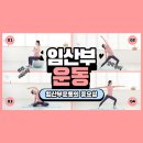 으뜸핏 이미지