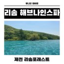 둥지세신 | 제천 리솜포레스트 해브나인 스파 후기｜법인회원 50% 할인 / 할인팁!