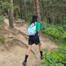 그린투브라운 | 여자등산가방 티켓투더문 백팩 패커블 경량 여자백팩추천 이유