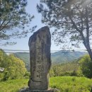 운교보건진료소 네이버블로그