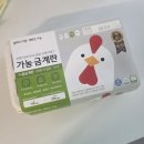 금계로 | 가농 금계란 오메가3 특란 내돈내산 후기 비린내 없이 고소한 계란 추천