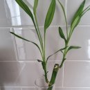 우리집인테리어 이미지