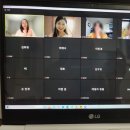 강현순 | 생계형긍정주의자선언 온라인 북토크 잘 마쳤어요(feat. 강현순 대표님 라이커선샤인 주최)