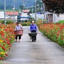 좀 바꿔서 들고가소 (미원면 수산리 9.12) 이미지