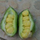 억불산민박 이미지