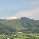 갤러리철이든나무 | 경기도 양평 이재효 갤러리 서울 근교 미술관 놀거리 구경거리 추천 주차 작품 티켓 가격 내돈내산 찐후기