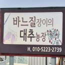 재봉농장 이미지