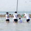 하전어촌체험휴양마을 이미지