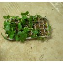 이화농원 이미지