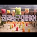 젤리베어 (JELLY BEAR)