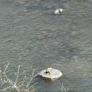 인제성인오락실 | 2025년 4월 후쿠오카 여행기 백업