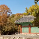 박진 효자비 | 전주향교 은행나무 가을 단풍 명소 입장료 주차장 정보