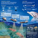[재미있는 과학] 해저 탐사 - 타이태닉 침몰 후 본격화… 빙산·유전 샅샅이 훑죠 이미지
