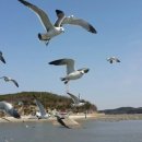한국인성교육연구소 네이버블로그