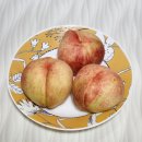 백도복숭아 『코쿠네 행복마켓』 상콤달콤 아삭아삭 맛있는 복숭아 후기