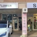 더리지플라워 이미지