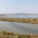 성덕면사무소 이미지