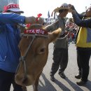 한뿔축산 이미지